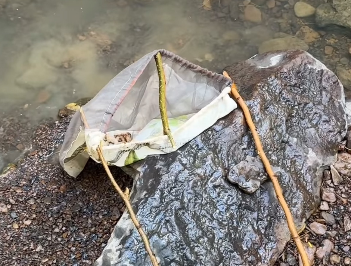 Catch Fish with a Bandana? See the Foraging Bandanet in Action!
