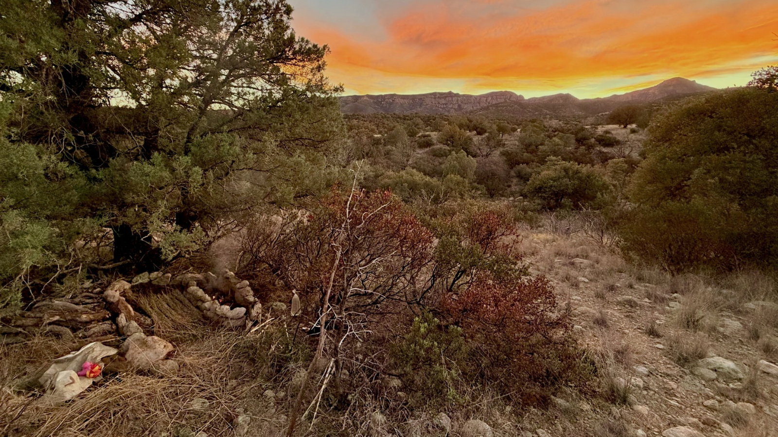 Modern Lessons From Primitive Skills