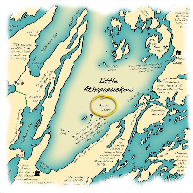 Real Life Survival Story - Thank Goodness For Wazoo!