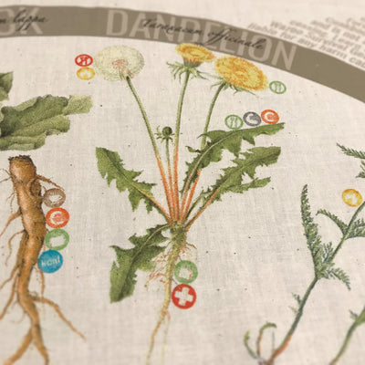 Dandelion medicinal and edible plant detail on bandana