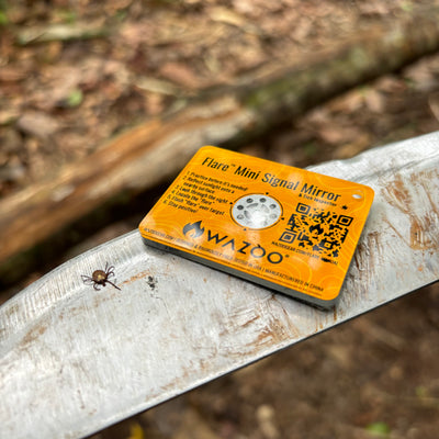 Tick and mirror on machete in jungle
