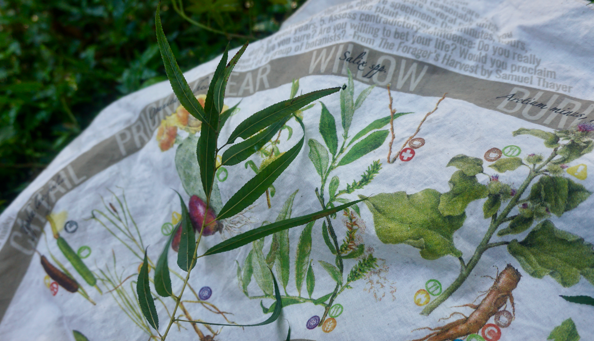 Foraging Field Tools | Wazoo Gear