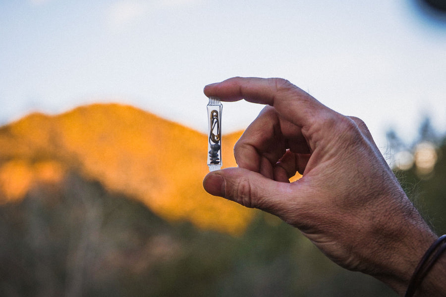 Cache Kits™ User Manual | Wazoo Gear