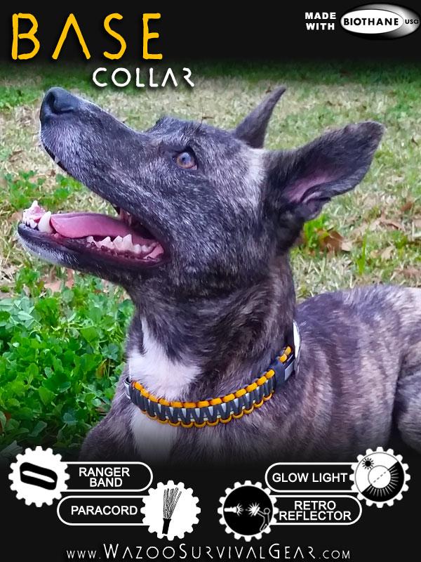 Biothane dog collar wrapped with paracord including glow in the dark and reflective surfaces
