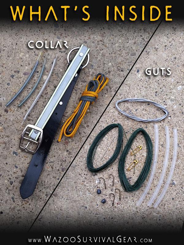 Fishing and snaring components inside dog collar to help secure more food