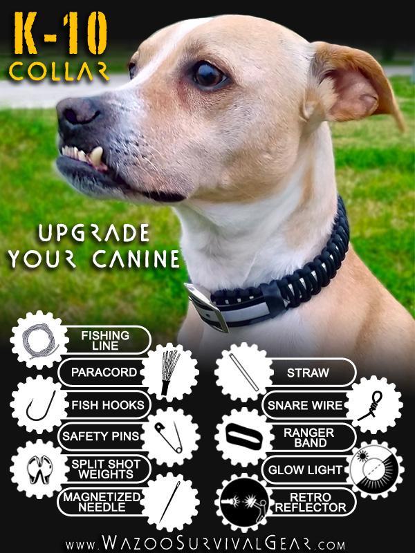 K-10 Survival kit biothane dog collar