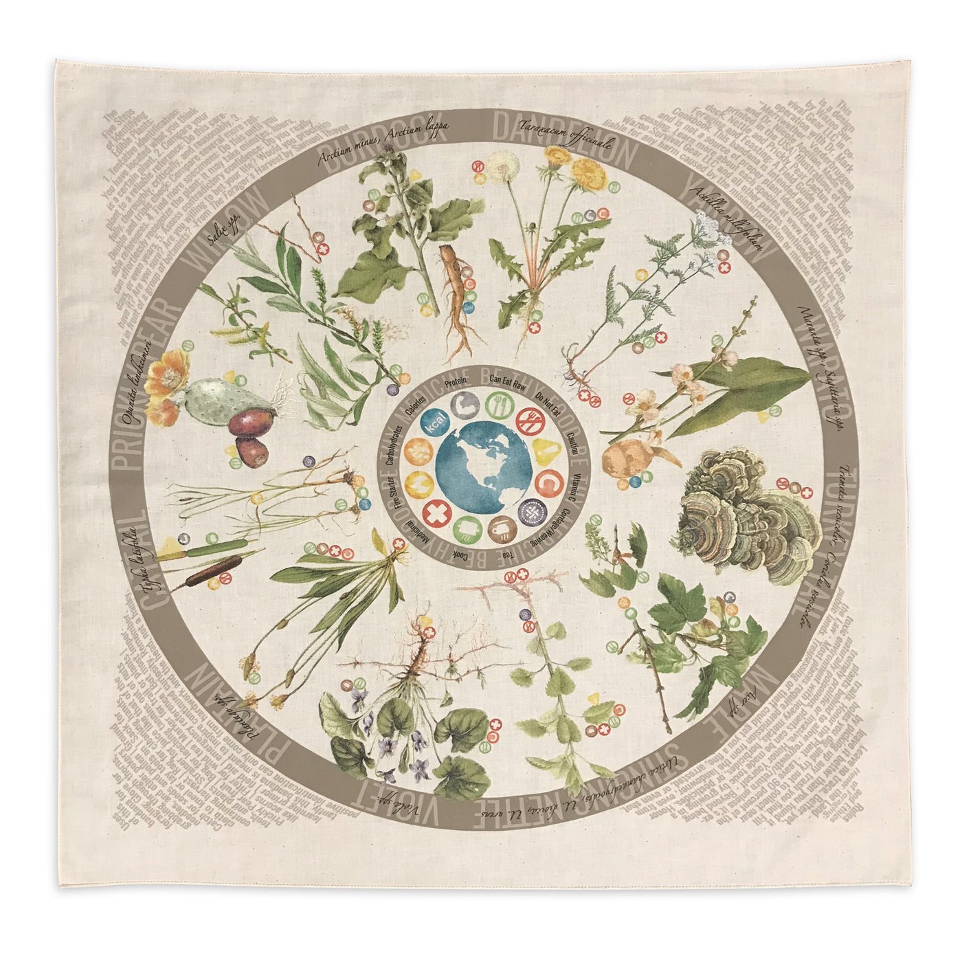 Wild edible and medicinal plant bandana for foraging by Wazoo
