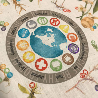 Bandana key to medicinal and edible properties of plants