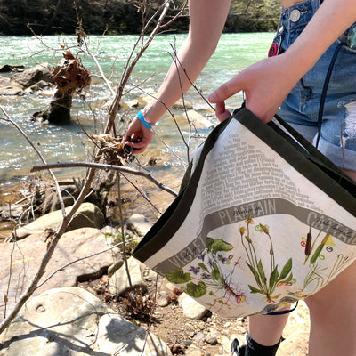Gathering the corners of the bandana groundcloth allows it to be used to collect tinder or plants