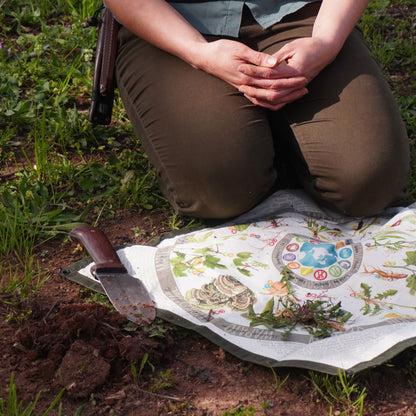 Foraging Ground Cloth used to identify and harvest a dandelion
