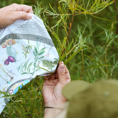 Foraging Neck Gaiter
